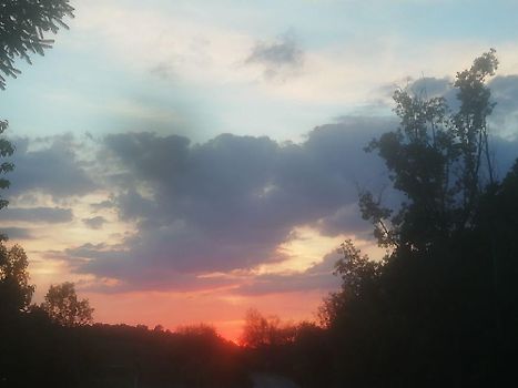 Mulțumesc.